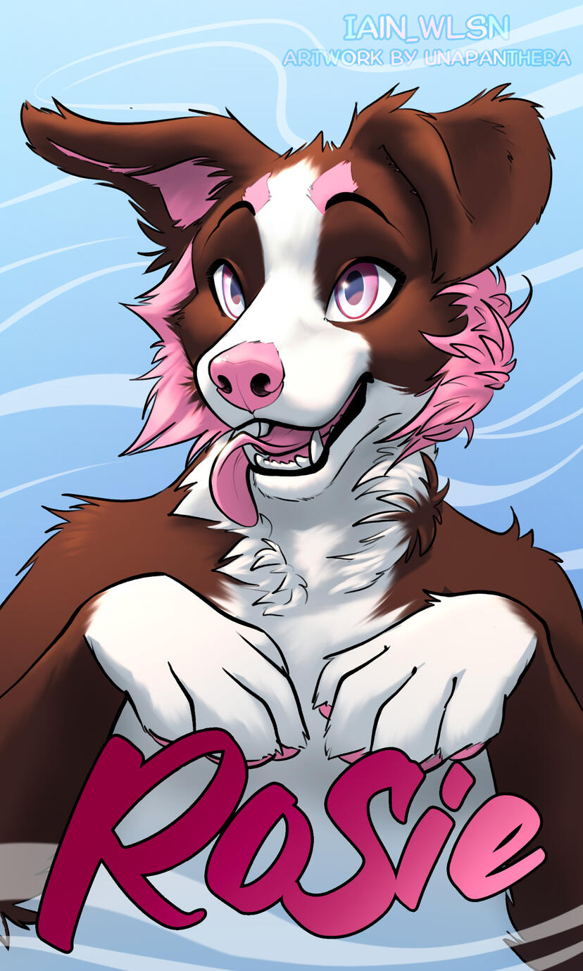 Toony, default shape